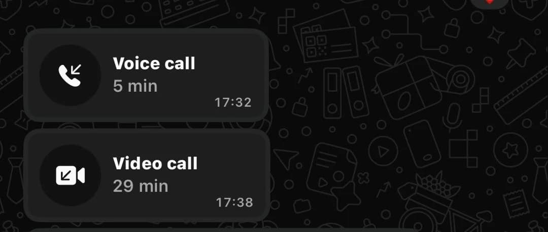 WhatsApp call log: a five minute voice call followed by a twenty nine minute video call